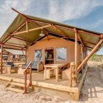 Deze 6 safaritenten liggen aan het strand LuxeTent.nl